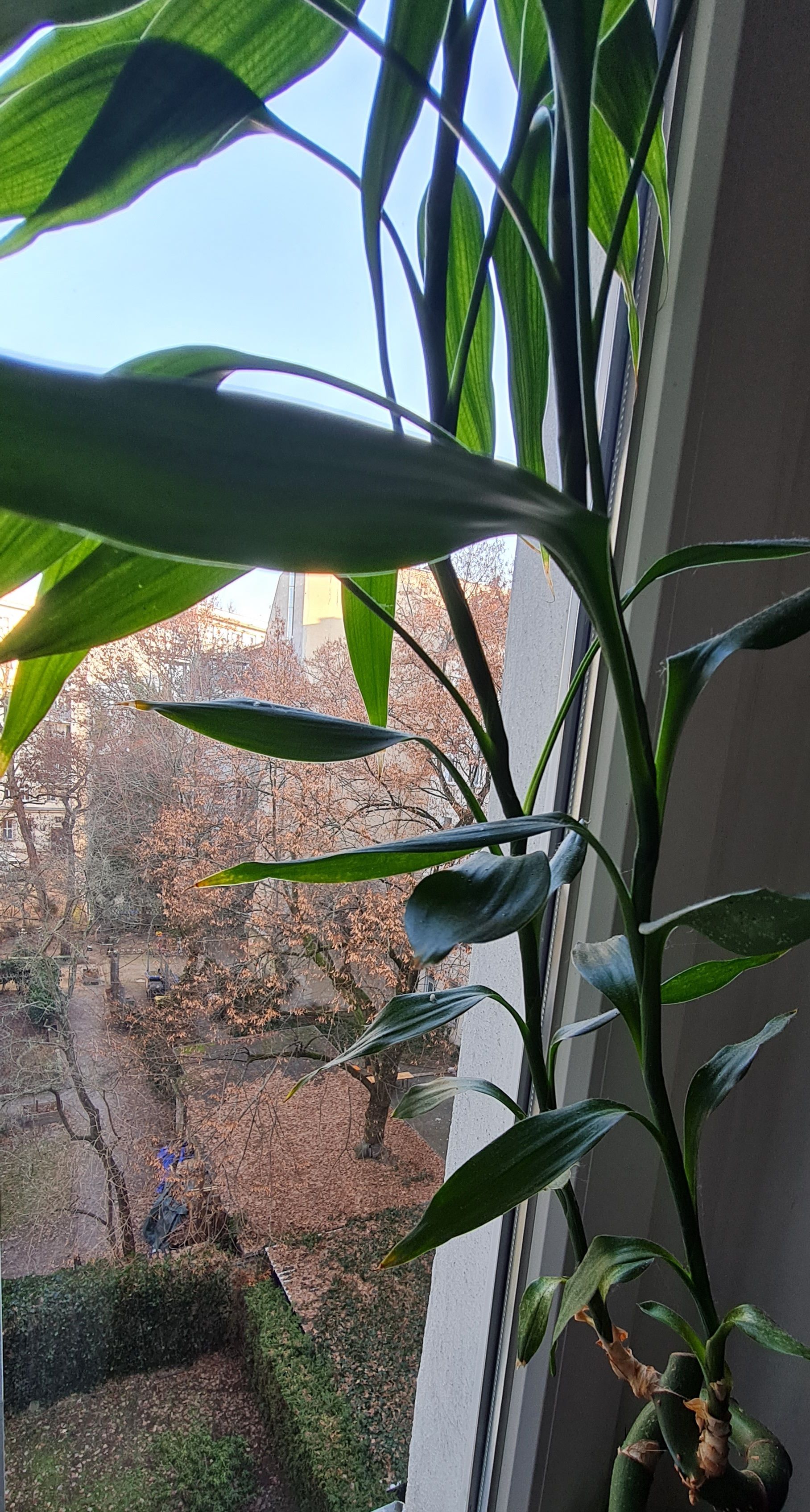 Quiet & Furnished Room In Prime Friedrichshain Location - Quiet & Furnished Room in Prime Friedrichshain Location - Gallery - 5