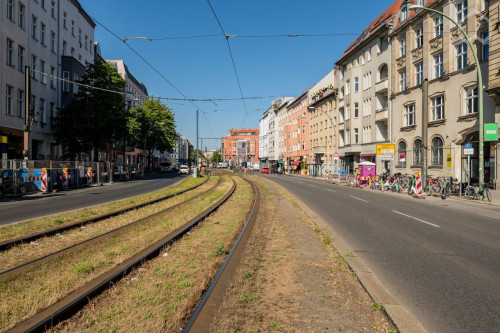 GIRLS ONLY APARTMENT | Stylish Room with Balcony in Historical Apartment on famous Torstraße / near Rosenthaler Platz