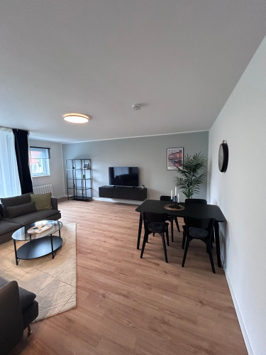 Freshly renovated, spacious 3-room apartment