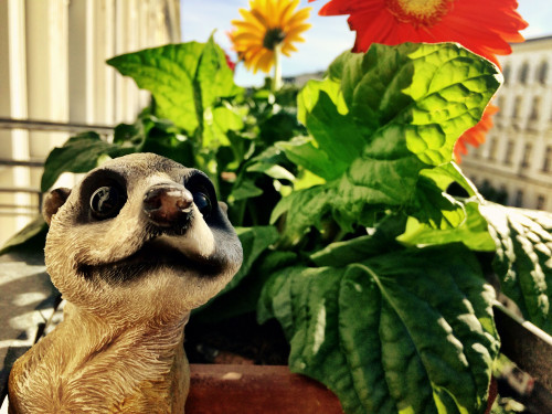 Loft for familiies with kids in Prenzlauer Berg (Berlin)