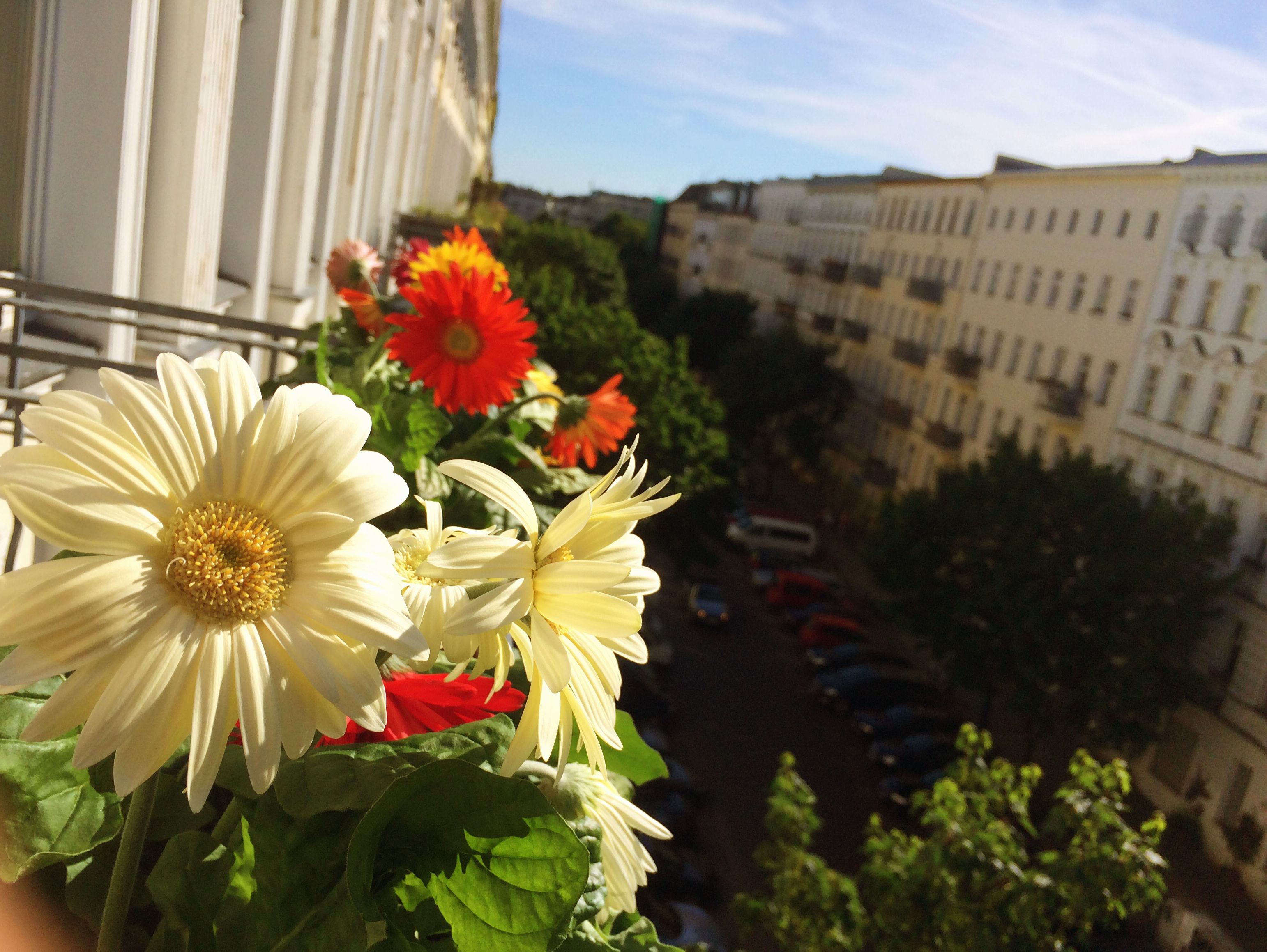  Loft For Familiies With Kids In Prenzlauer Berg (Berlin)  -  Loft for familiies with kids in Prenzlauer Berg (Berlin)  - Gallery -  6