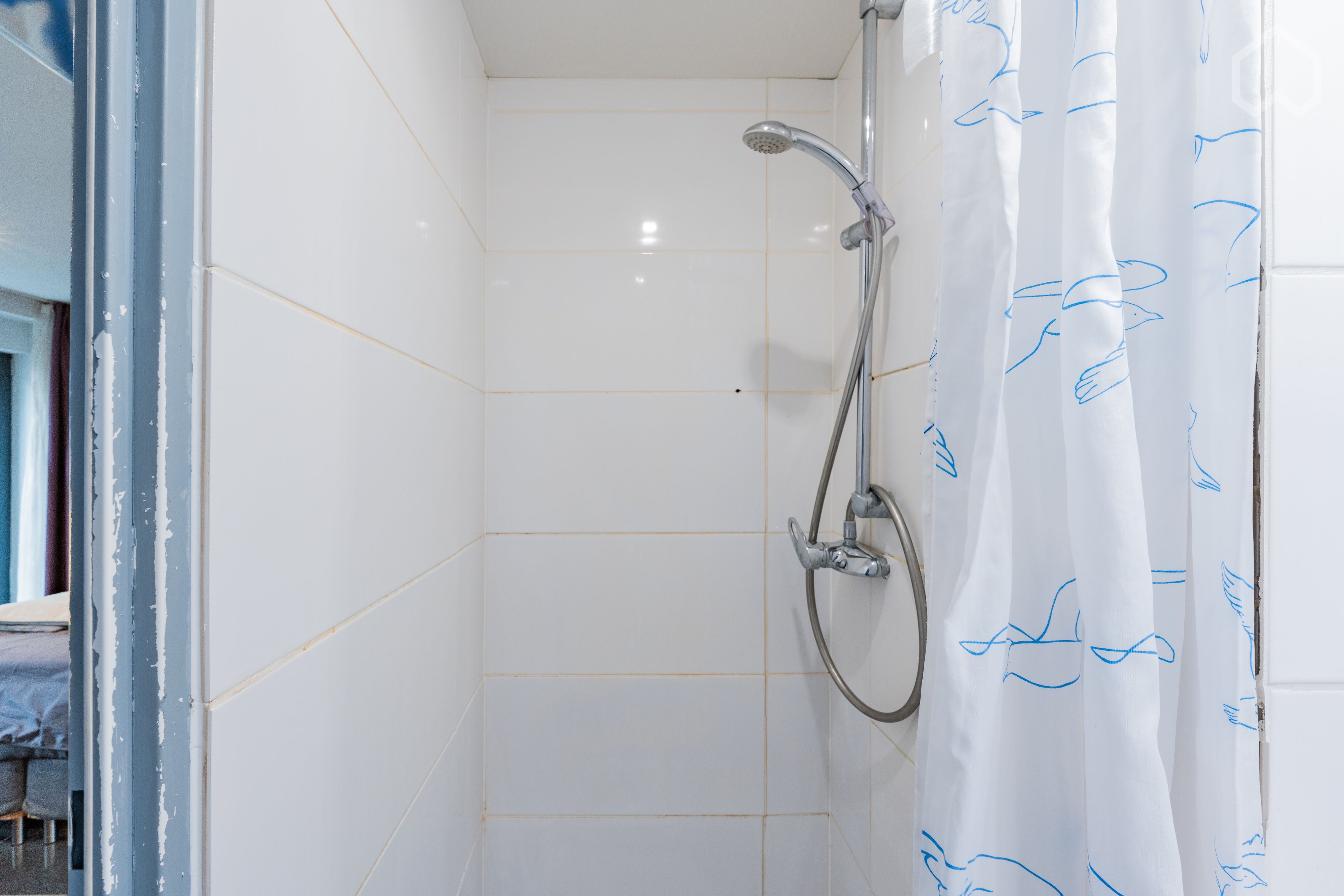  Trendy Flat In Nice Area  -  Trendy flat in nice area  - Gallery -  19