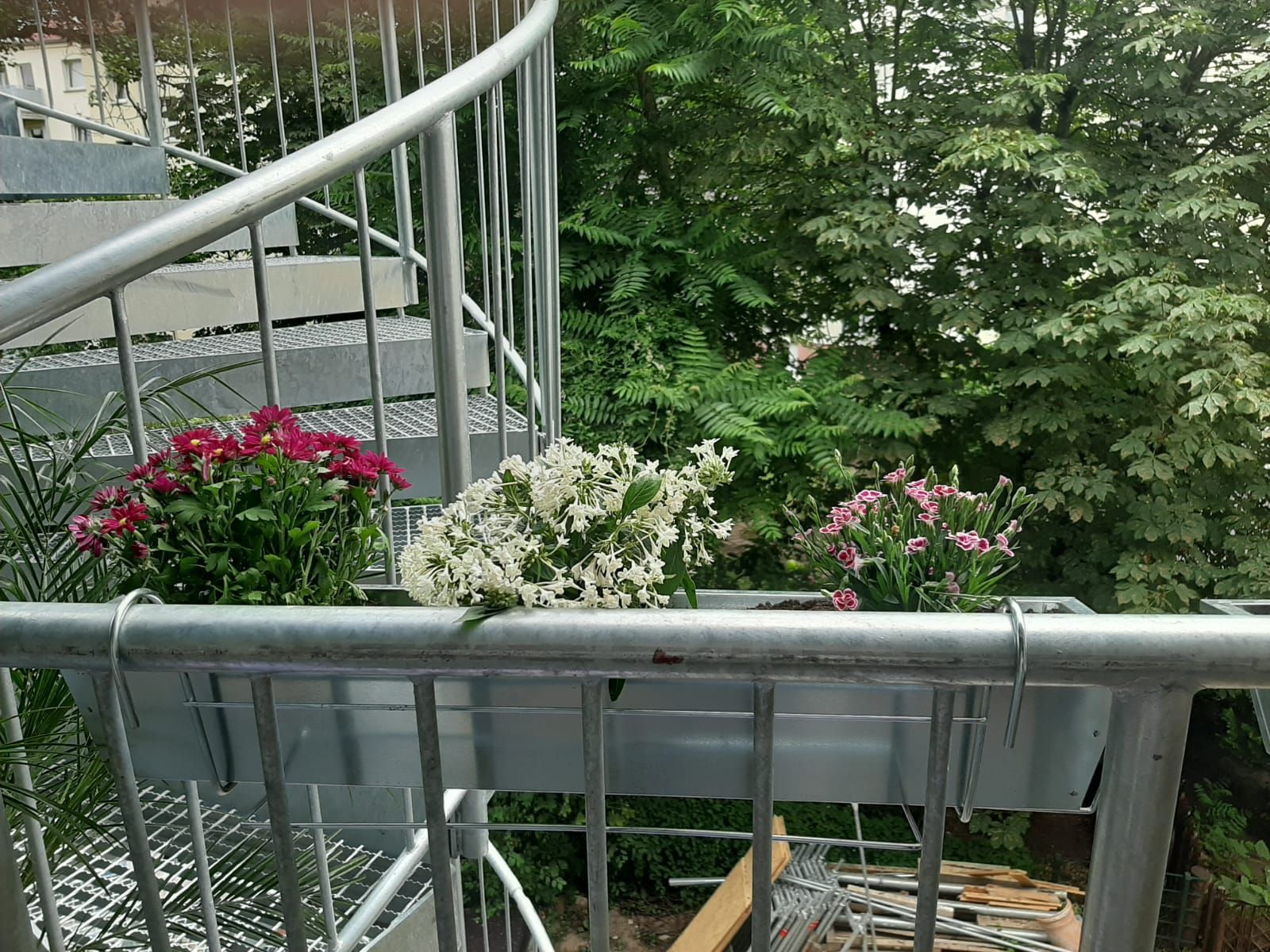  Trendy Flat In Nice Area  -  Trendy flat in nice area  - Gallery -  13