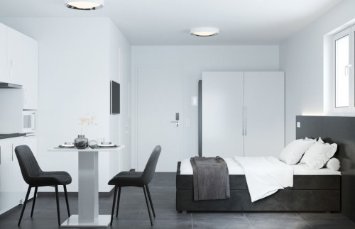 luxurious, ultra-modern and fully furnished apartment in Frankfurt