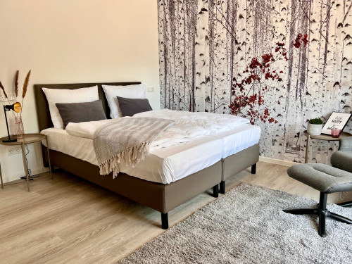 Best Luxury Apartment - cozy, nice flat in Hannover