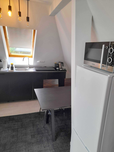 Gorgeous & fantastic suite in Bonn | kitchen | TV | Wi-Fi