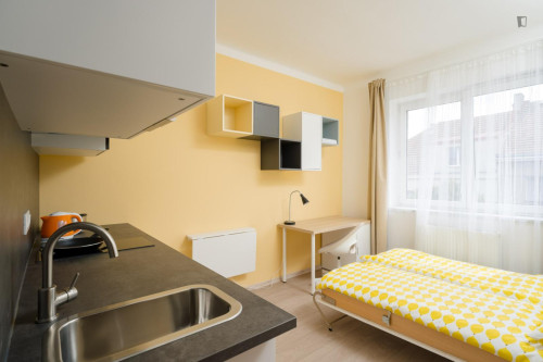 Cosy and bright studio in Krč