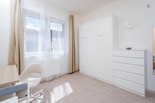 Cosy and bright studio in Krč