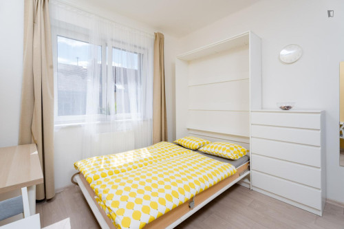 Cosy and bright studio in Krč