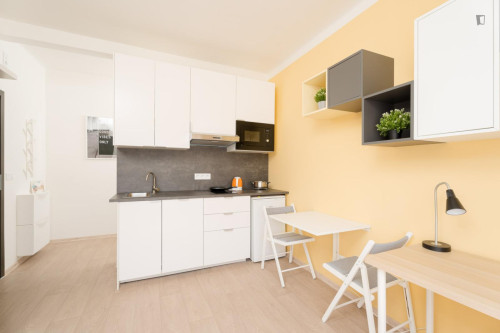 Cosy and bright studio in Krč  - Gallery -  5