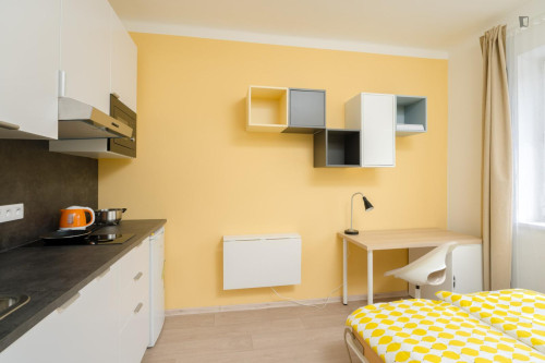 Cosy and bright studio in Krč