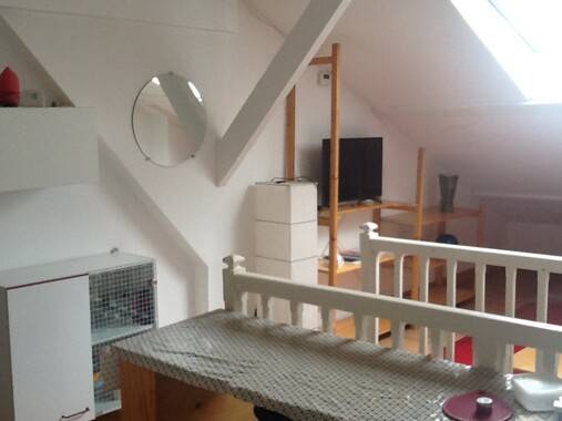 Single Room - 55m² Homestay for 1 person - Gallery - 2