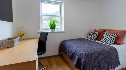 Alexandra Hall - Gallery - 9