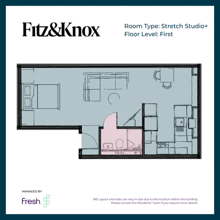  Stretch Studio Apartment Plus  -  Fitz & Knox  - Gallery -  5