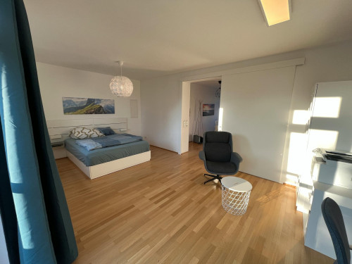 Leonfeldner Straße, Linz  - Gallery -  5