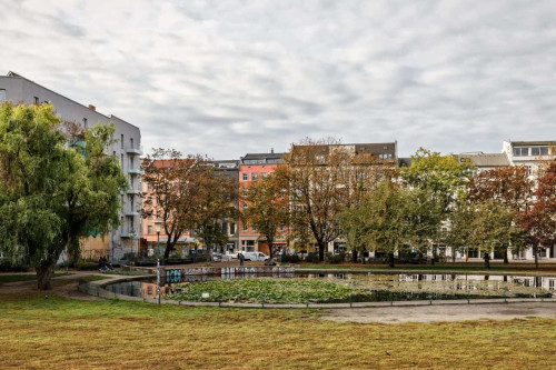 Bright and comfy at Weinbergspark in Mitte