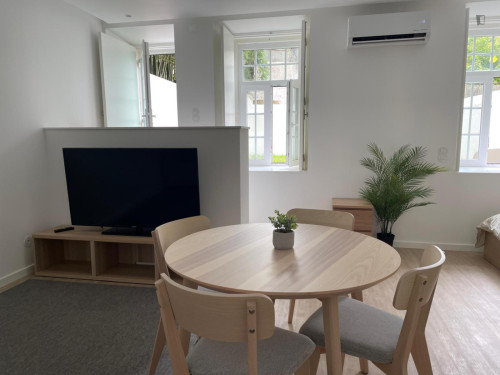 Charming Studio with a terrace close to University of Coimbra