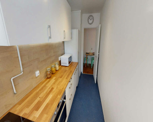 Rue des Morillons, Paris