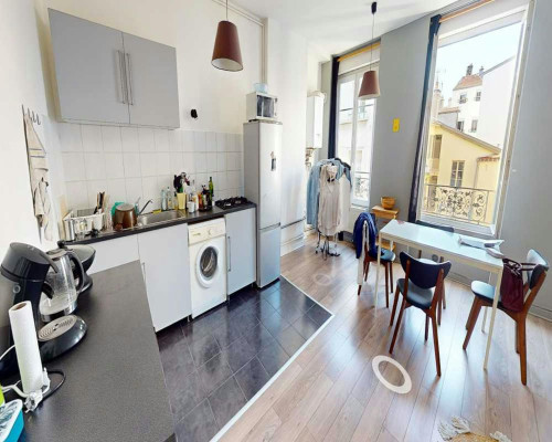 Rue Saint-Michel, Lyon  - Gallery -  5