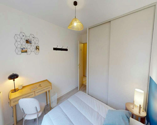 Rue Professeur Florence, Lyon