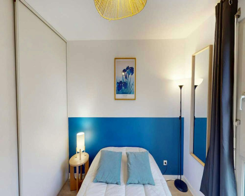 Rue Professeur Florence, Lyon