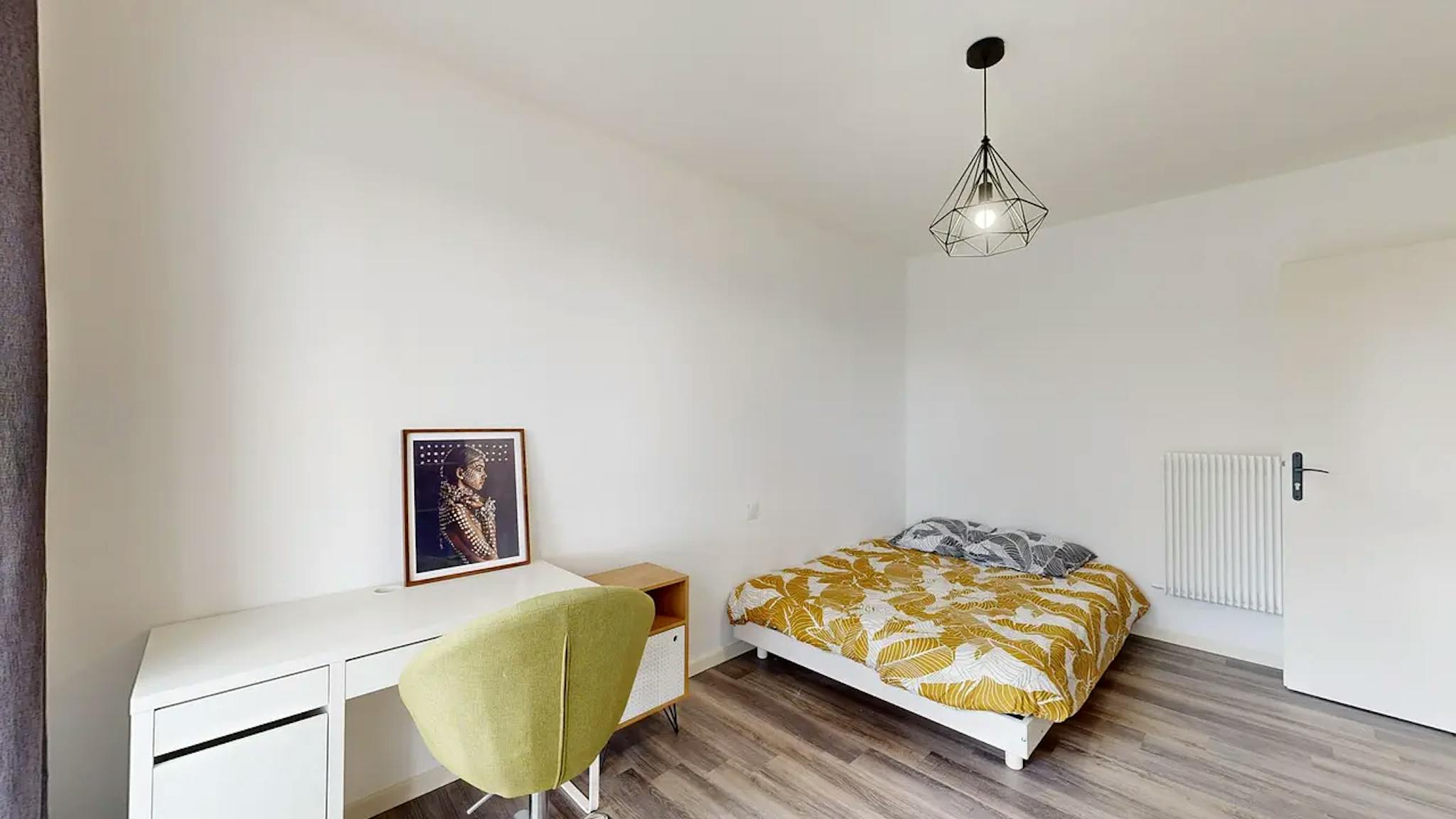 Private Room - Avenue d'Ossau, Pau - Gallery - 1