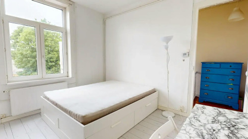 Rue Saint-Jean-Baptiste de la Salle, Lille