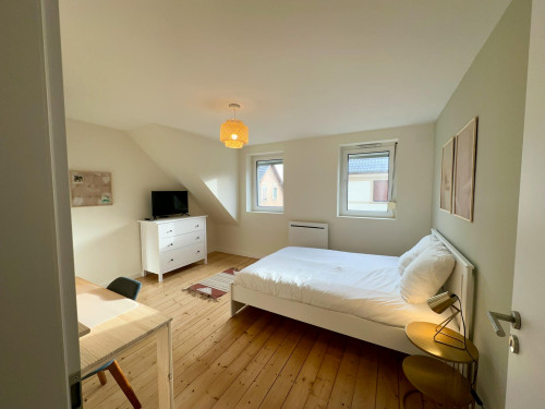 Rue de Sarrebourg, Schiltigheim