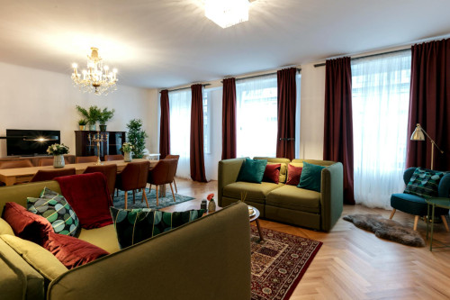 Singerstraße, Vienna  - Gallery -  5