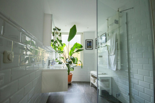 Alexanderkade, Amsterdam