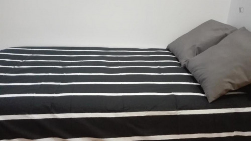 Cute single bedroom in a 8 bedroom apartment in Chamberí
