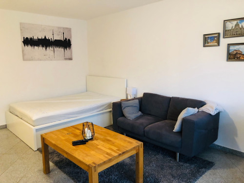 Businessappartement with balcony- all inclusive