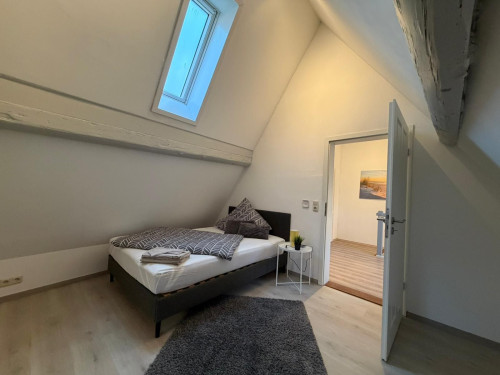 Luxurious and unique house in Alzey City - Gallery - 19