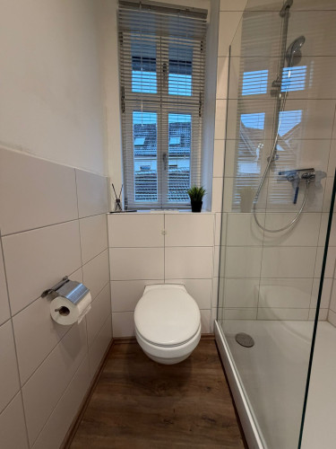 Luxurious and unique house in Alzey City - Gallery - 11