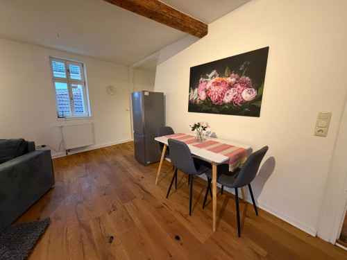 Luxurious and unique house in Alzey City