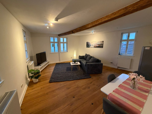 Luxurious and unique house in Alzey City
