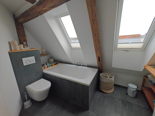 Nice apartment in Bad Nauheim - Gallery - 13