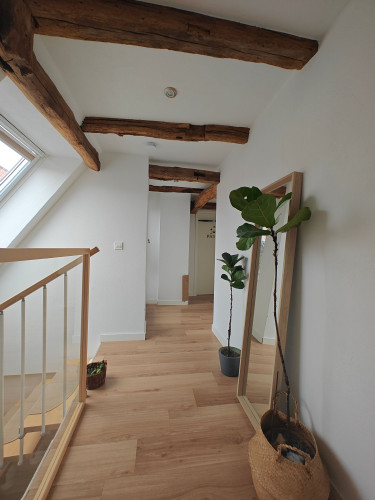 Nice apartment in Bad Nauheim - Gallery - 7
