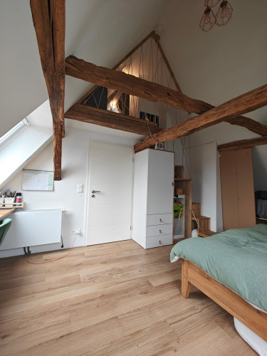Nice apartment in Bad Nauheim - Gallery - 16