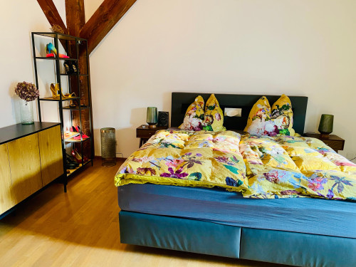 Fashionable, bright loft, Potsdam