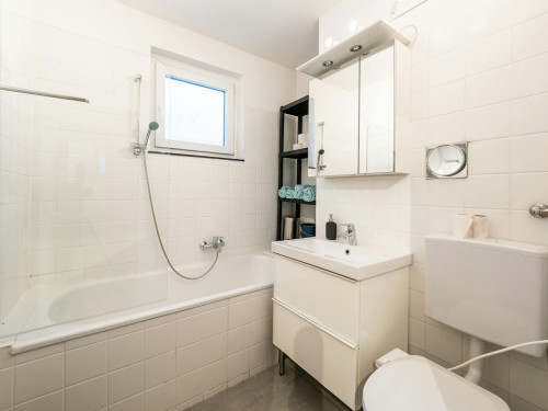 Boltzmanngasse, Vienna