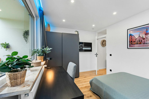 Mainaustraße, Munich