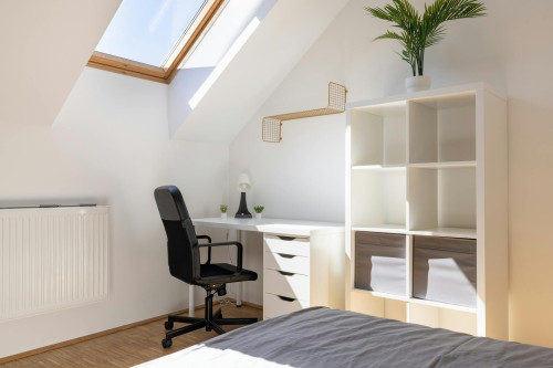 Untere Augartenstraße, Vienna