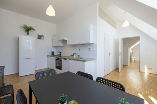 Untere Augartenstraße, Vienna  - Gallery -  5