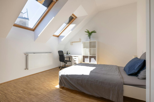 Untere Augartenstraße, Vienna