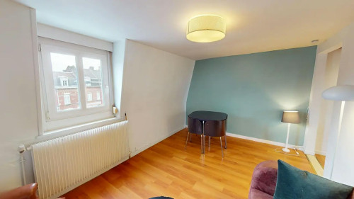 Rue Roger Salengro, Lille