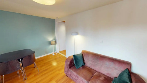 Rue Roger Salengro, Lille