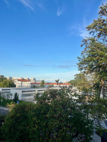 Pleasant Single Bedroom close to IADE - Creative University - Gallery - 7