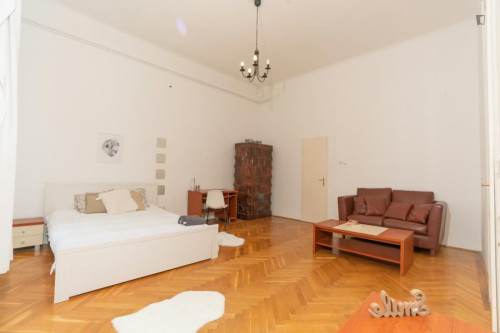 Spacious double bedroom in Terézváros