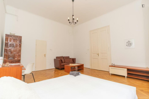 Spacious double bedroom in Terézváros  - Gallery -  5